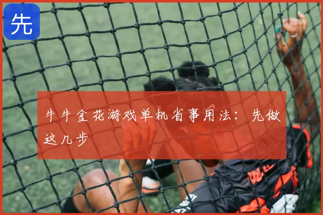牛牛金花游戏单机省事用法：先做这几步