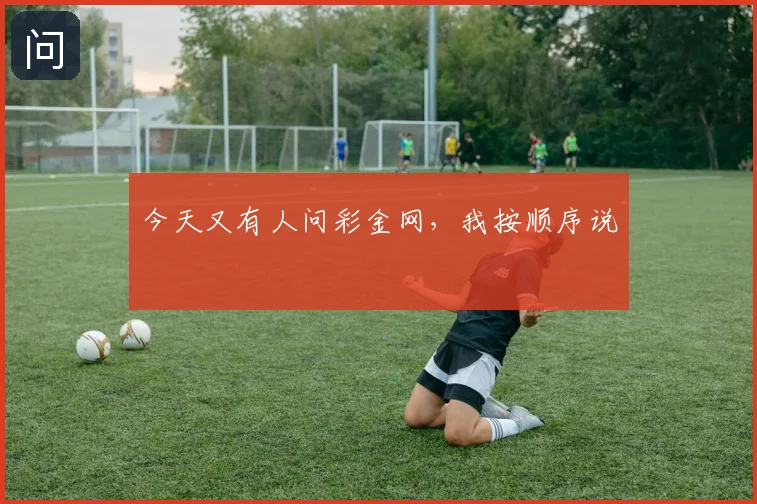 今天又有人问彩金网，我按顺序说
